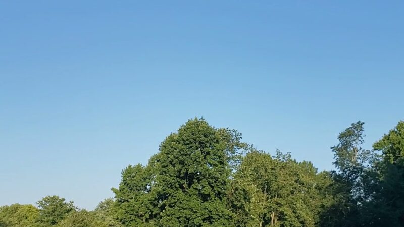 Matheson Park - Taylorsville, NC