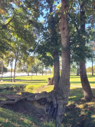 Matheson Park - Taylorsville, NC