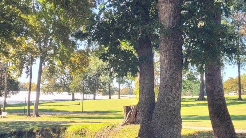 Matheson Park - Taylorsville, NC