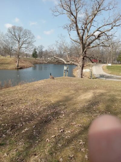 Taylorville Park District - Taylorville, IL