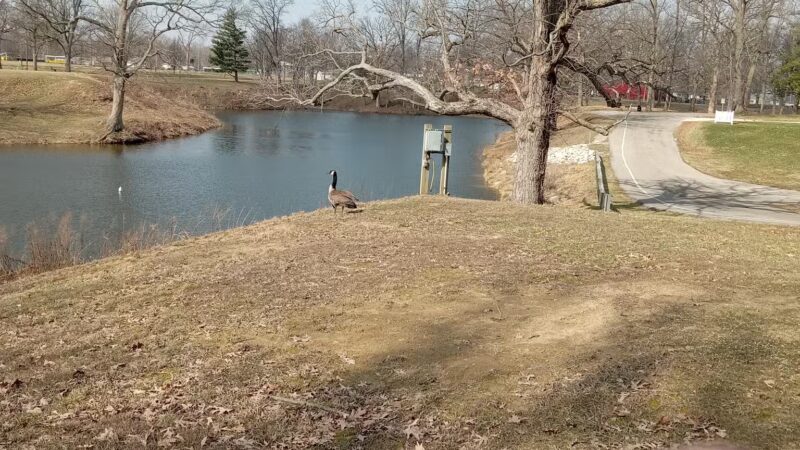 Taylorville Park District - Taylorville, IL