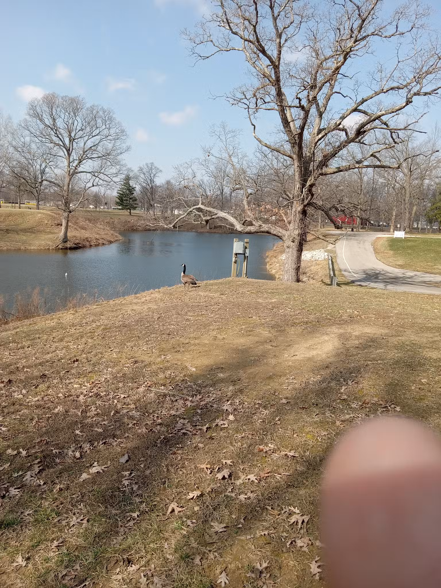 Taylorville Park District - Taylorville, IL