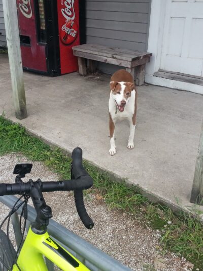 Katy Trail - Tebbetts Trailhead - Tebbetts, MO
