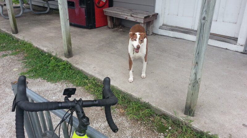 Katy Trail - Tebbetts Trailhead - Tebbetts, MO