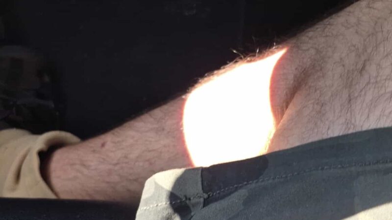 Dog Park at Love's Travel Stops - Tehachapi, CA