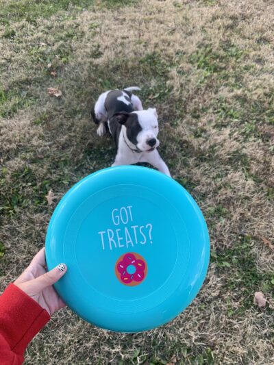 Dog Park - Tell City, IN