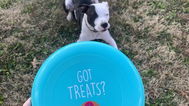 Dog Park - Tell City, IN