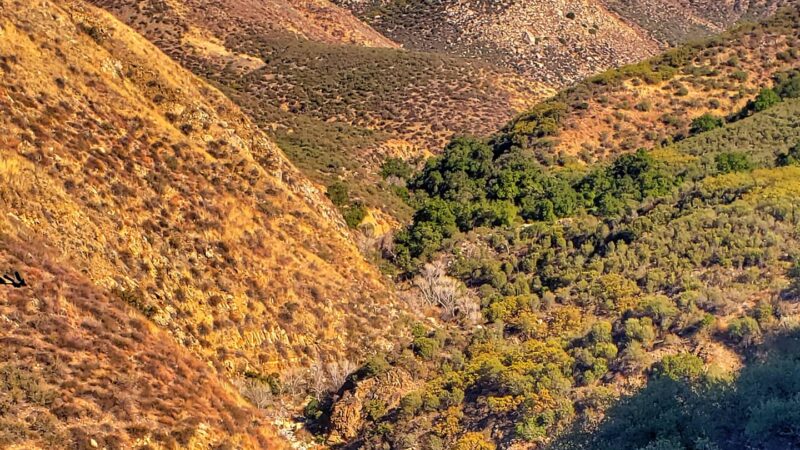 Dripping Springs Trailhead - Temecula, CA