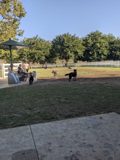 Margarita Dog Park - Temecula, CA