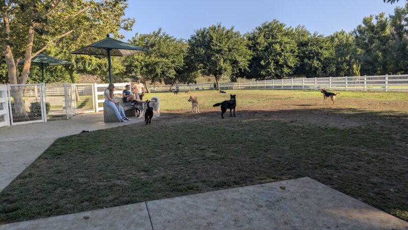 Margarita Dog Park - Temecula, CA