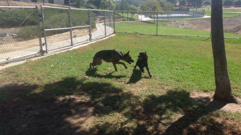 Margarita Dog Park - Temecula, CA