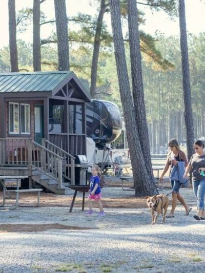 Tall Pines / Chesapeake Bay KOA - Temperanceville, VA