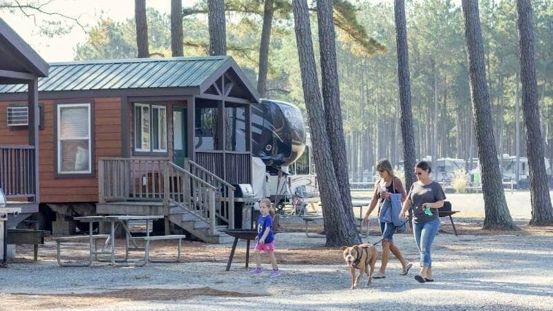 Tall Pines / Chesapeake Bay KOA - Temperanceville, VA