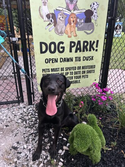 Happy Tails Dog Park - Terre Haute, IN