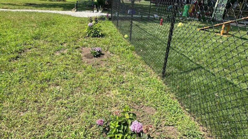 Happy Tails Dog Park - Terre Haute, IN