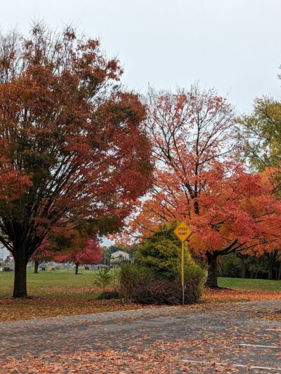Terre Hill Community Memorial Park - Terre Hill, PA