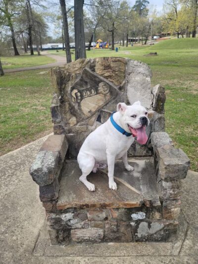 Jefferson Park Outdoor Amphitheater - Texarkana, AR