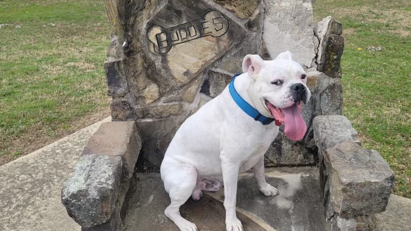Jefferson Park Outdoor Amphitheater - Texarkana, AR