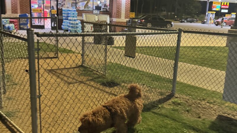 Dog Park at Love’s Travel Stops - Texarkana, TX