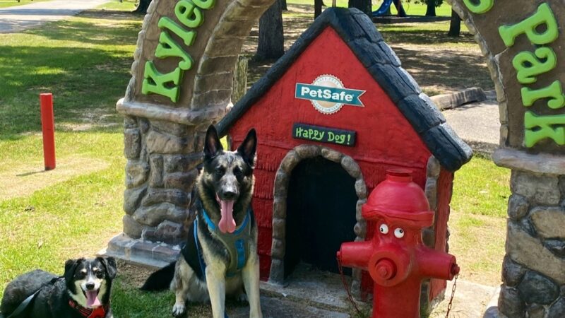 Spring Lake Park Dog Park - Texarkana, TX