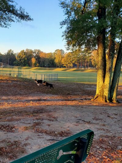 Spring Lake Park Dog Park - Texarkana, TX