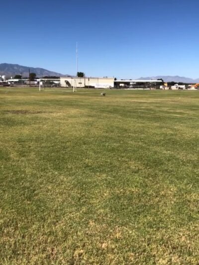 Thatcher Park - Thatcher, AZ