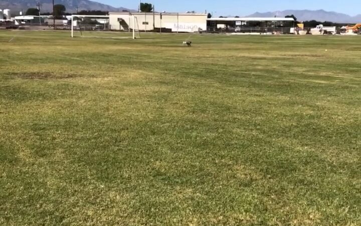 Thatcher Park - Thatcher, AZ