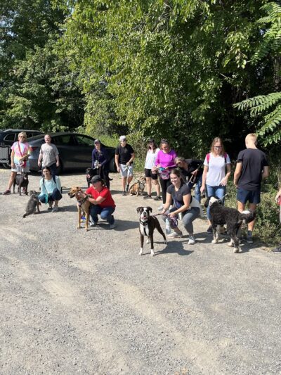 The Traveling Leash, LLC - ,