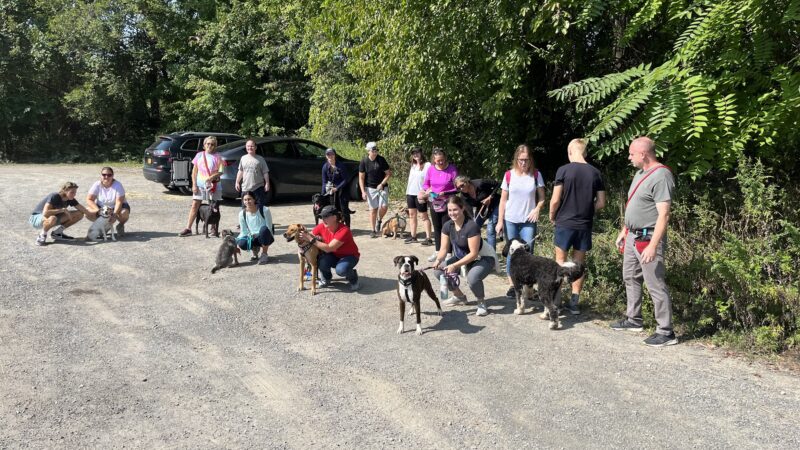 The Traveling Leash, LLC - ,