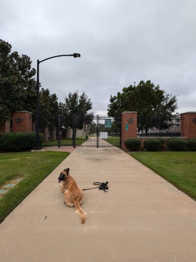 Woodmill Dog Park - The Woodlands, TX