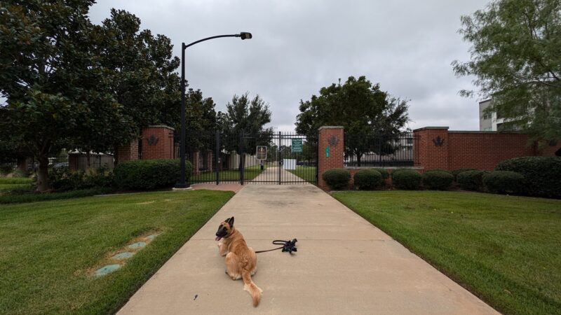 Woodmill Dog Park - The Woodlands, TX