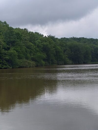 Thomas City Park Trails - Thomas, WV