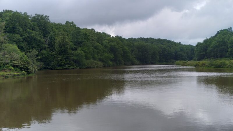 Thomas City Park Trails - Thomas, WV