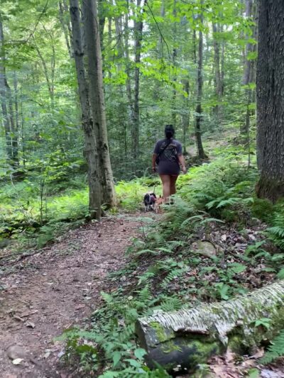 Thomas City Park Trails - Thomas, WV