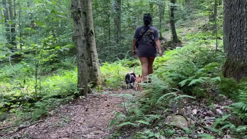 Thomas City Park Trails - Thomas, WV