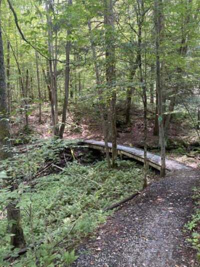 Thomas City Park Trails - Thomas, WV