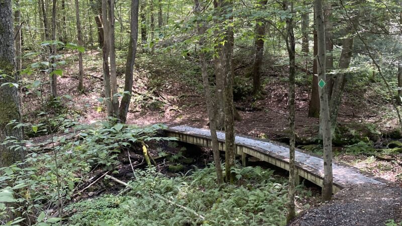 Thomas City Park Trails - Thomas, WV