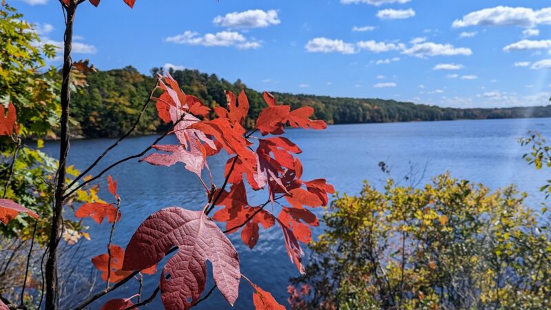 West Thompson Dam River Trail - Thompson, CT