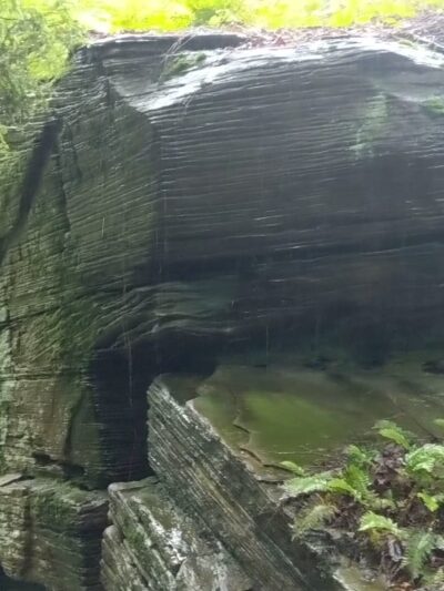 Florence Shelly Wetlands Preserve - Thompson, PA