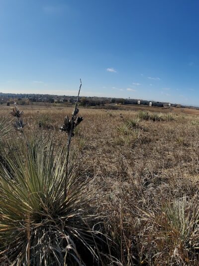 Niver Creek Open Space - Thornton, CO