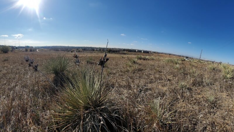 Niver Creek Open Space - Thornton, CO