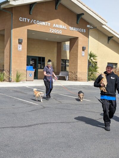 Coachella Valley Animal Campus - Thousand Palms, CA