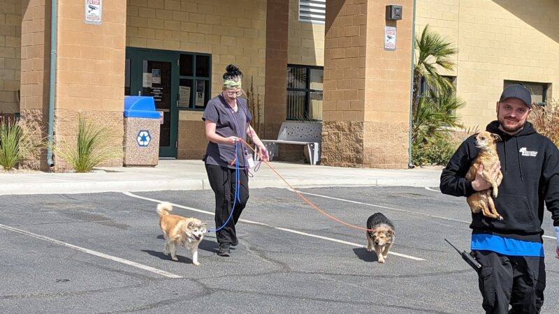 Coachella Valley Animal Campus - Thousand Palms, CA
