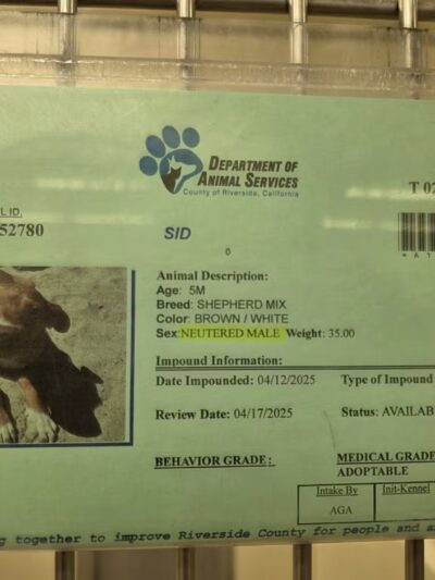 Coachella Valley Animal Campus - Thousand Palms, CA