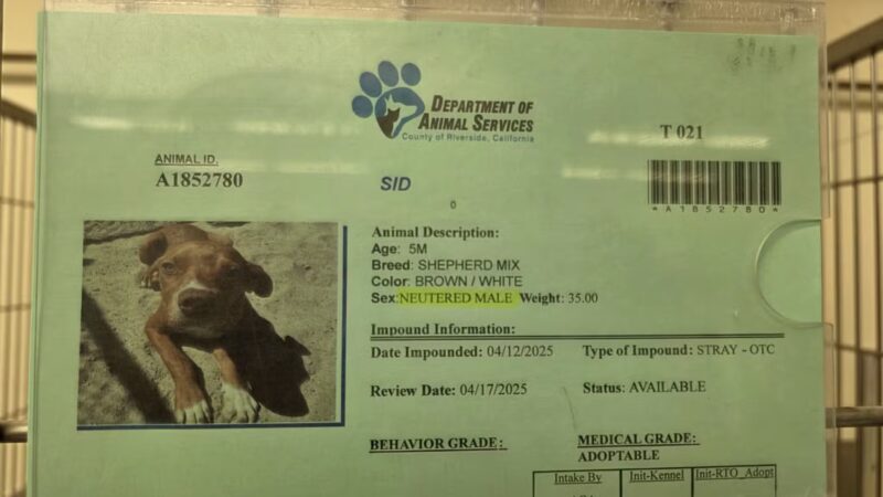 Coachella Valley Animal Campus - Thousand Palms, CA