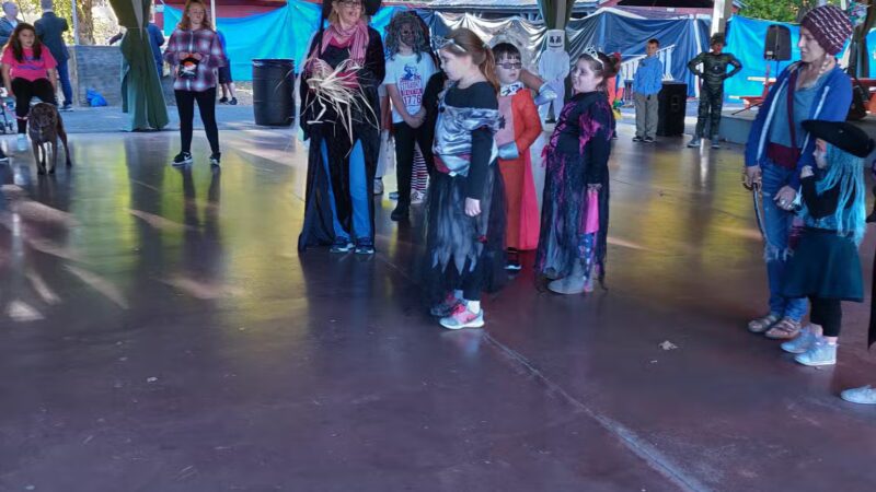Pulaski Park Picnic Shelter - Three Rivers, MA