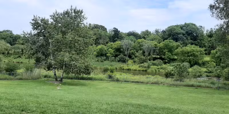 Ticonderoga Dog Park - Ticonderoga, NY