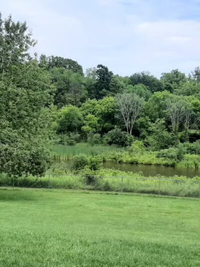 Ticonderoga Dog Park - Ticonderoga, NY