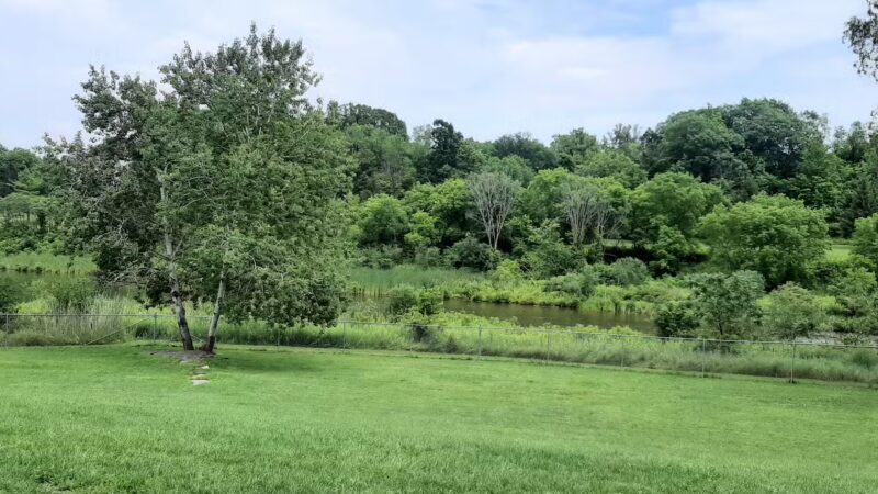 Ticonderoga Dog Park - Ticonderoga, NY