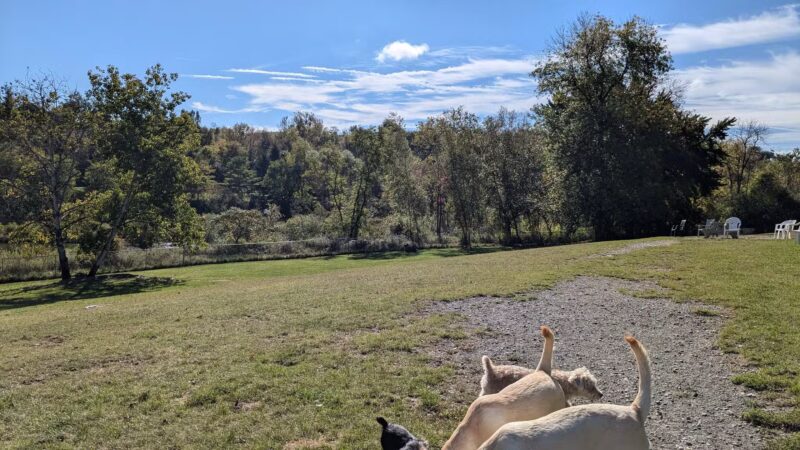 Ticonderoga Dog Park - Ticonderoga, NY